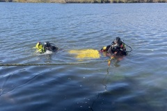 DR12